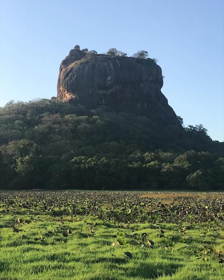 Sigiriya Village Home Stay Exterior foto